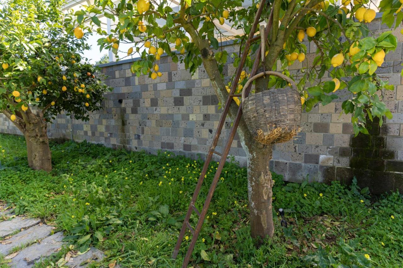 Tenuta Di Leva Piano di Sorrento Exterior foto